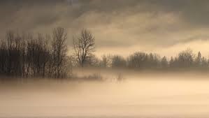 Ostrzeżenie meteorologiczne - Gęsta mgła/1