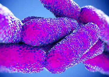 Legionella - jak się chronić przed bakterią?