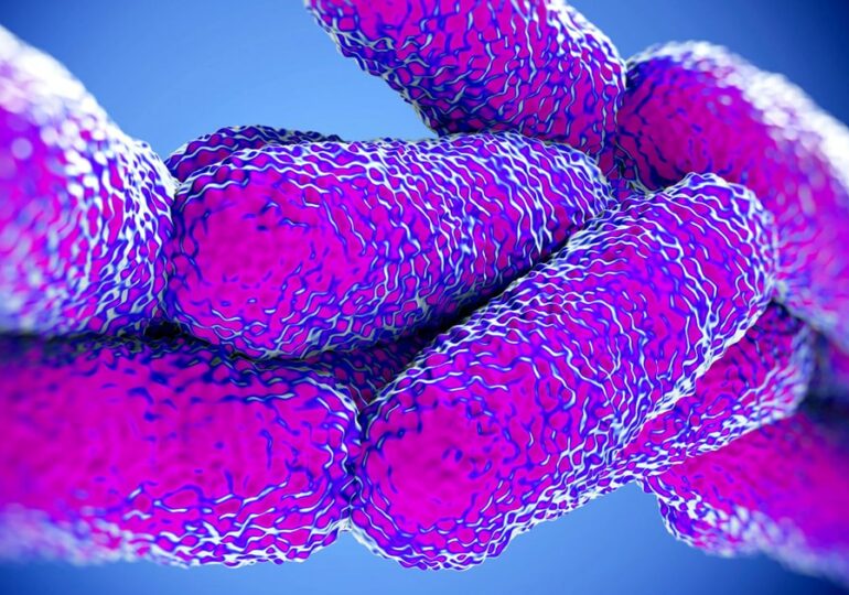 Legionella - jak się chronić przed bakterią?